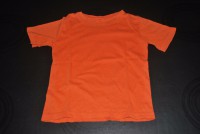 Naranja lisa